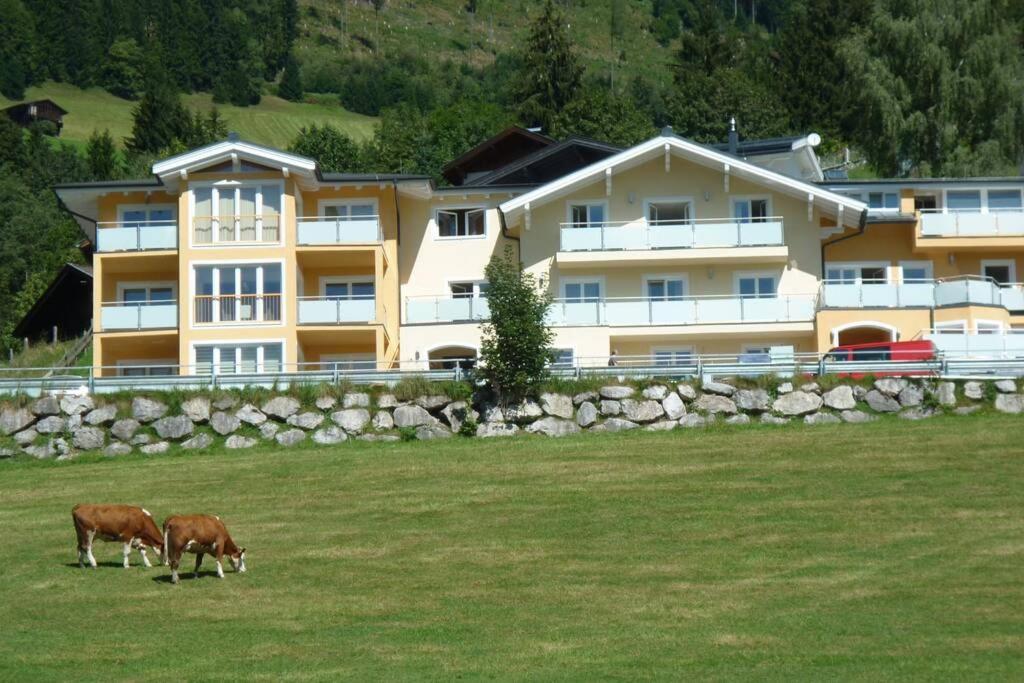 Apartment Hohe Tauern Piesendorf Kültér fotó