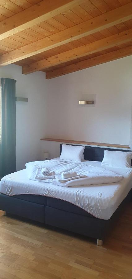 Apartment Hohe Tauern Piesendorf Kültér fotó
