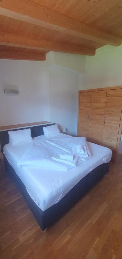 Apartment Hohe Tauern Piesendorf Kültér fotó